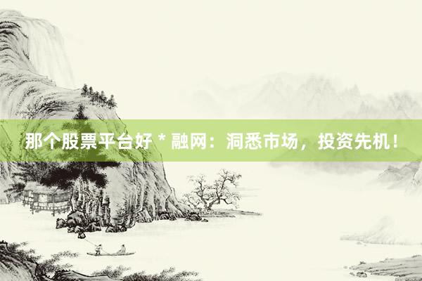 那个股票平台好 * 融网：洞悉市场，投资先机！