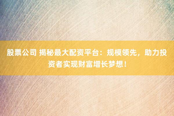 股票公司 揭秘最大配资平台：规模领先，助力投资者实现财富增长梦想！