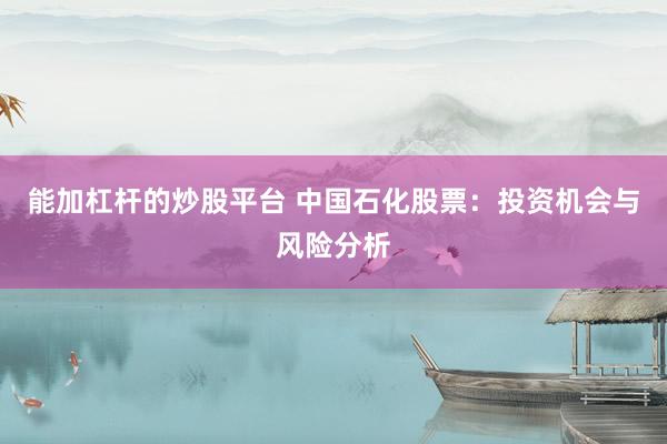 能加杠杆的炒股平台 中国石化股票：投资机会与风险分析