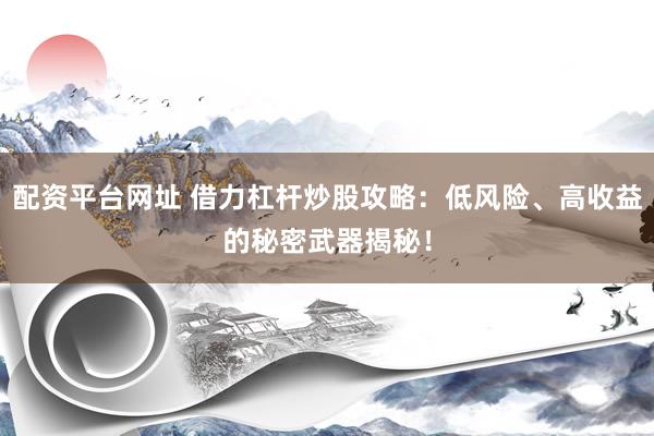 配资平台网址 借力杠杆炒股攻略：低风险、高收益的秘密武器揭秘！