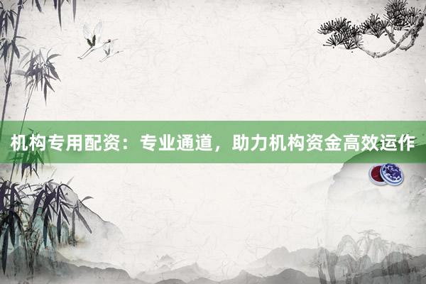 机构专用配资：专业通道，助力机构资金高效运作