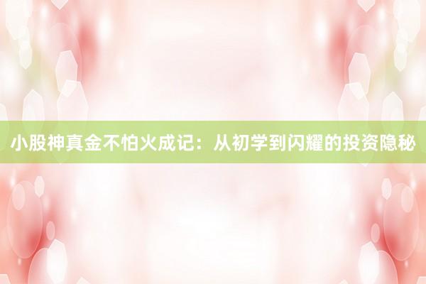 小股神真金不怕火成记：从初学到闪耀的投资隐秘