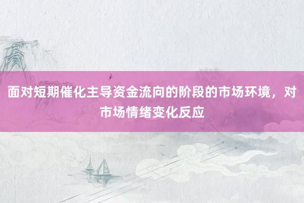 面对短期催化主导资金流向的阶段的市场环境，对市场情绪变化反应