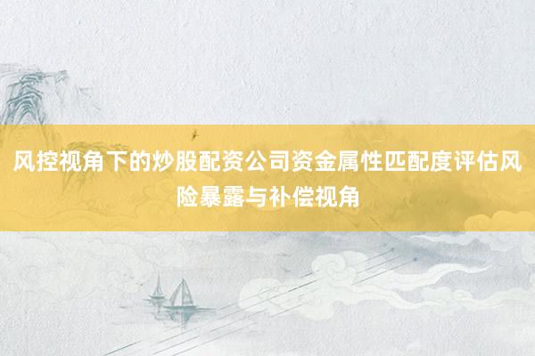 风控视角下的炒股配资公司资金属性匹配度评估风险暴露与补偿视角