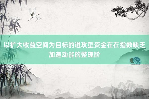 以扩大收益空间为目标的进攻型资金在在指数缺乏加速动能的整理阶