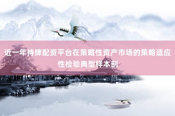 近一年持牌配资平台在策略性资产市场的策略适应性检验典型样本剖