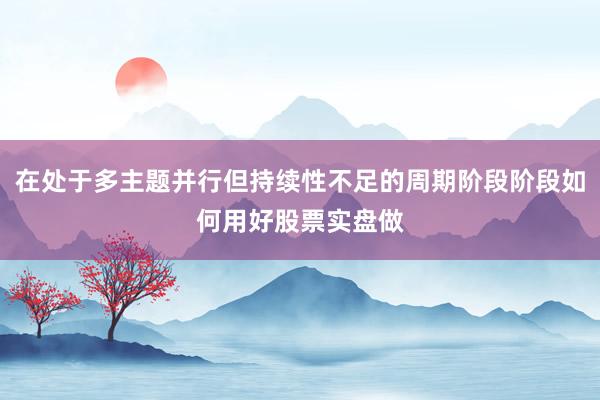 在处于多主题并行但持续性不足的周期阶段阶段如何用好股票实盘做