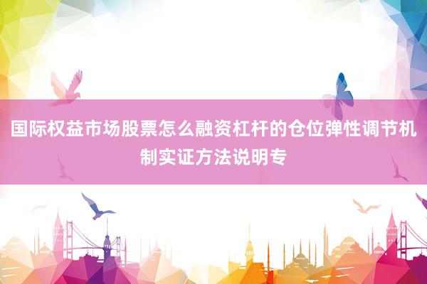 国际权益市场股票怎么融资杠杆的仓位弹性调节机制实证方法说明专