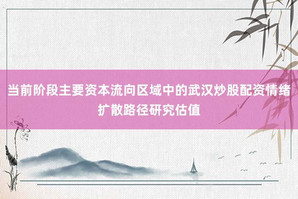 当前阶段主要资本流向区域中的武汉炒股配资情绪扩散路径研究估值