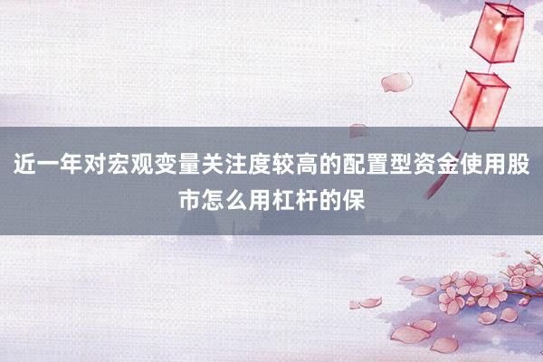 近一年对宏观变量关注度较高的配置型资金使用股市怎么用杠杆的保