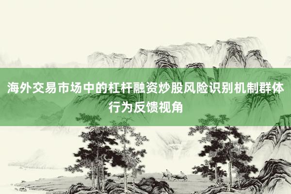 海外交易市场中的杠杆融资炒股风险识别机制群体行为反馈视角