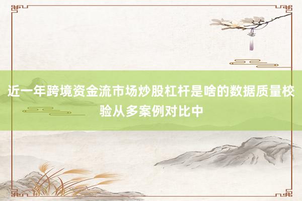 近一年跨境资金流市场炒股杠杆是啥的数据质量校验从多案例对比中