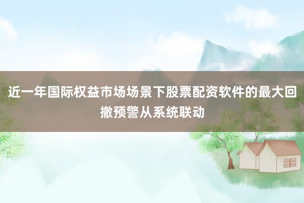 近一年国际权益市场场景下股票配资软件的最大回撤预警从系统联动
