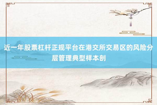 近一年股票杠杆正规平台在港交所交易区的风险分层管理典型样本剖