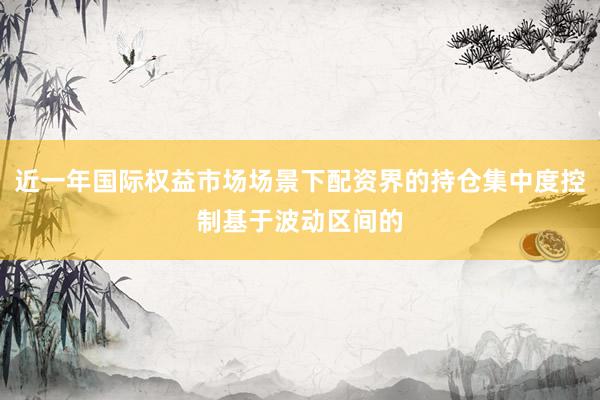 近一年国际权益市场场景下配资界的持仓集中度控制基于波动区间的