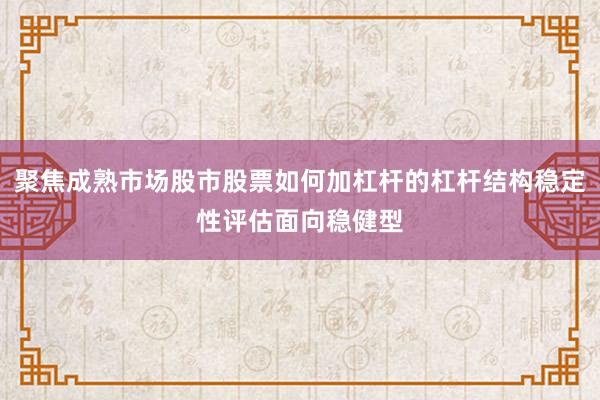 聚焦成熟市场股市股票如何加杠杆的杠杆结构稳定性评估面向稳健型