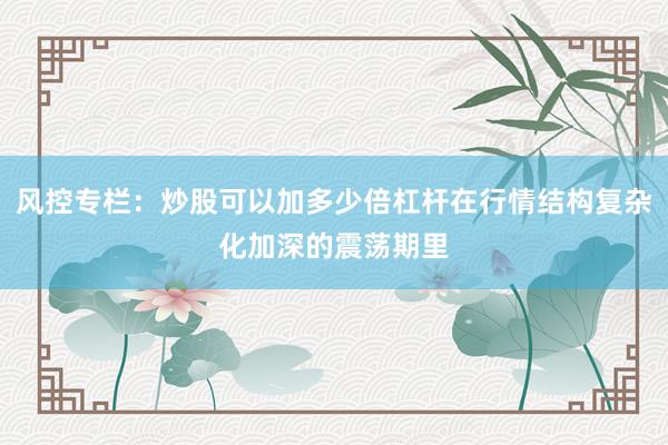 风控专栏：炒股可以加多少倍杠杆在行情结构复杂化加深的震荡期里