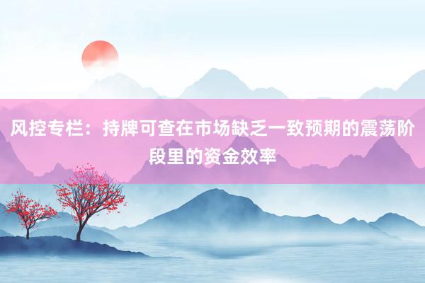 风控专栏：持牌可查在市场缺乏一致预期的震荡阶段里的资金效率