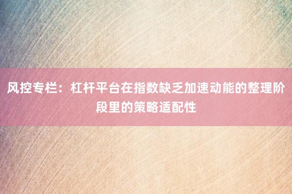 风控专栏：杠杆平台在指数缺乏加速动能的整理阶段里的策略适配性