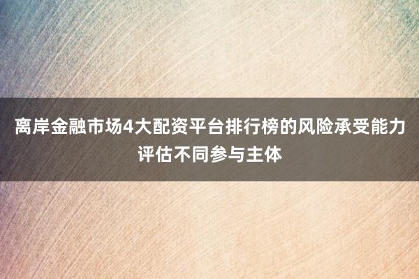 离岸金融市场4大配资平台排行榜的风险承受能力评估不同参与主体