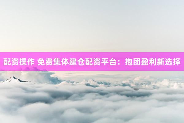 配资操作 免费集体建仓配资平台：抱团盈利新选择