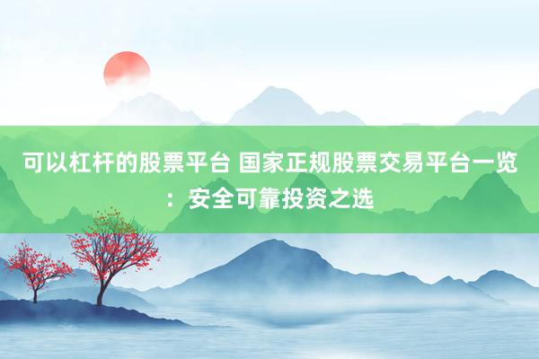 可以杠杆的股票平台 国家正规股票交易平台一览：安全可靠投资之选